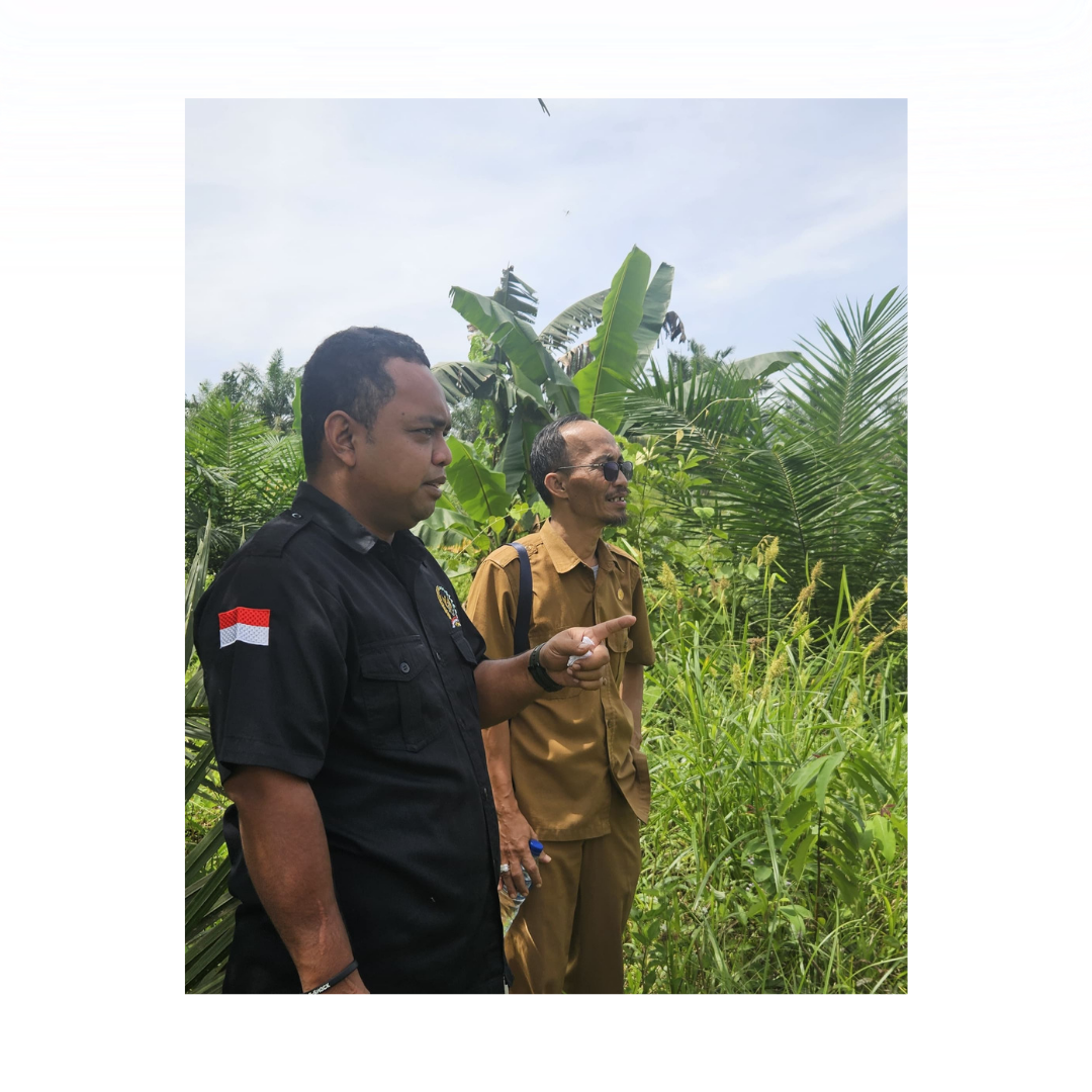 2_20251126_083825_0001