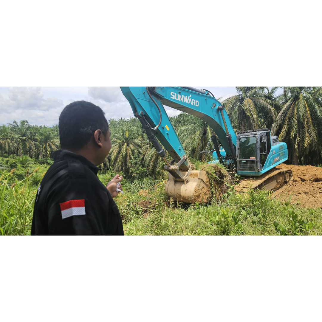 3_20251126_083825_0002