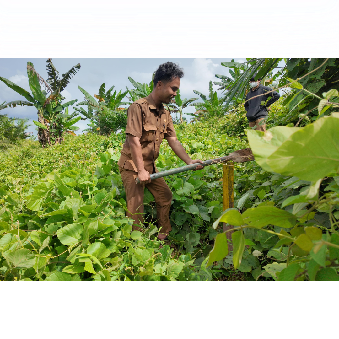 3_20251126_124510_0002