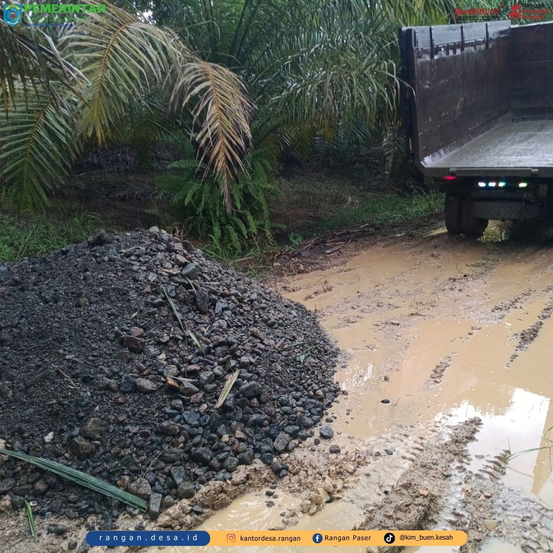 5_20251203_102428_0004